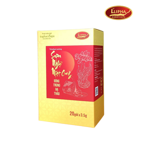 Trà phun sương Sapa Nghệ Mật ong Đông trùng hạ thảo
