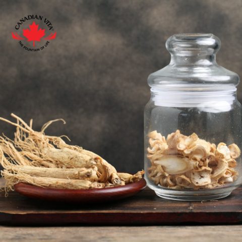 Nhân Sâm Củ Khô Canadian VitaGinseng Roots