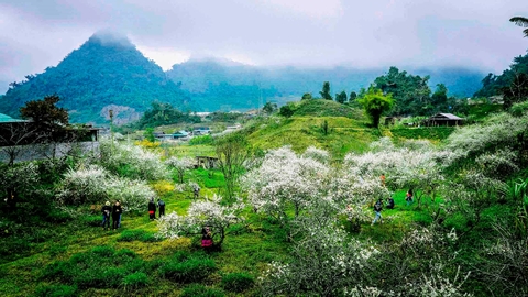 Chinh phục "Cổng trời" Mường Lống: Săn mây và khám phá "Đà Lạt của xứ Nghệ" giữa miền biên viễn.
