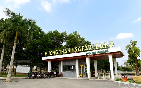 Check-in Khu Sinh Thái Diễn Lâm Nghệ An: Có Gì Mà Khiến Du Khách "Phát Cuồng"?