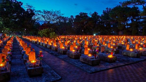 Kinh nghiệm tham quan Thành cổ Quảng Trị và Nghĩa trang Trường Sơn