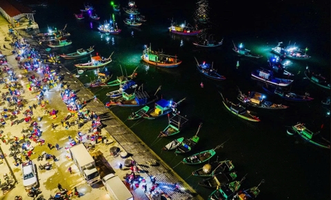 Ăn Gì Ở Cẩm Nhượng? Hành Trình Khám Phá Chợ Cá Sớm Và Thưởng Thức Mực Nhảy Ngon Quên Lối Về Tại Hà Tĩnh