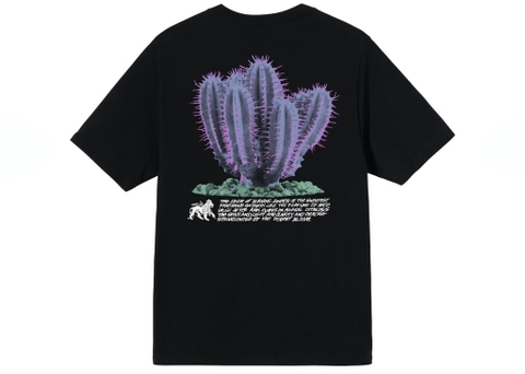 STUSSY DESERT BLOOM TEE