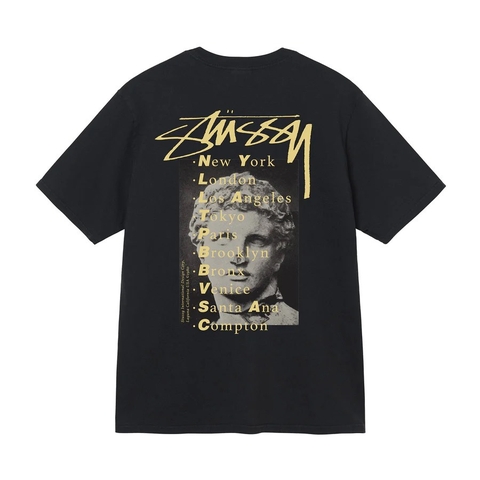 STUSSY STATUE PIG DYED TEE