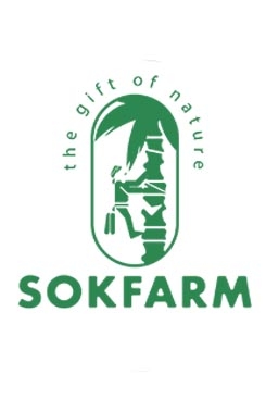 Mật hoa dừa Sokfarm