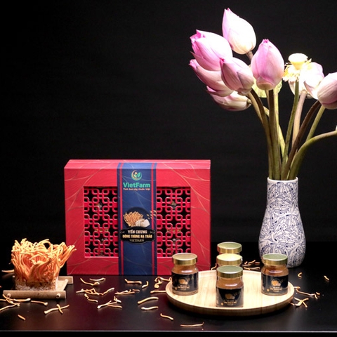 Yến chưng đông trùng hạ thảo