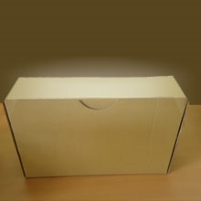 HỘP ĐỰNG HỒ SƠ CARTON 13P (CÁI)