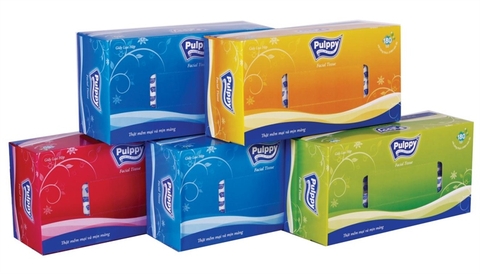 GIẤY HỘP PULPPY (HỘP)