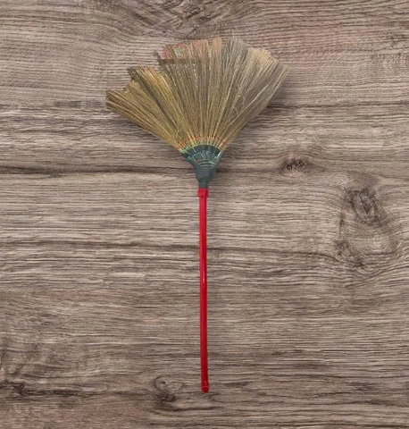 CHỔI ĐÓT (CÂY)