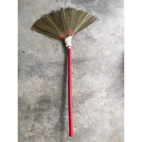 CHỔI ĐÓT TỐT (CÂY)