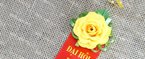 BÔNG ĐẠI BIỂU ()