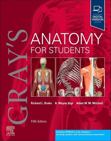 Gray's Anatomy for Students

5th Edition