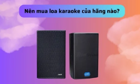 Nên mua loa karaoke của hãng nào? Gợi ý chi tiết