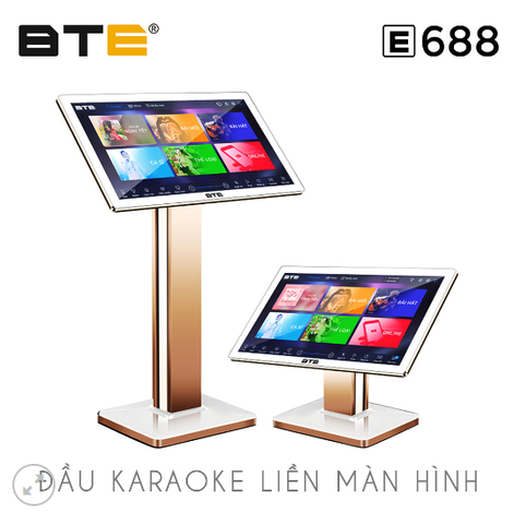 Đầu karaoke liền màn hình BTE® E688