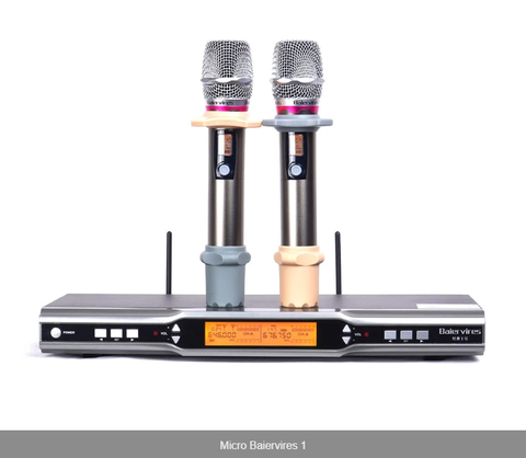Micro Baiervires 1