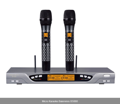 Micro Karaoke Baiervires BS880