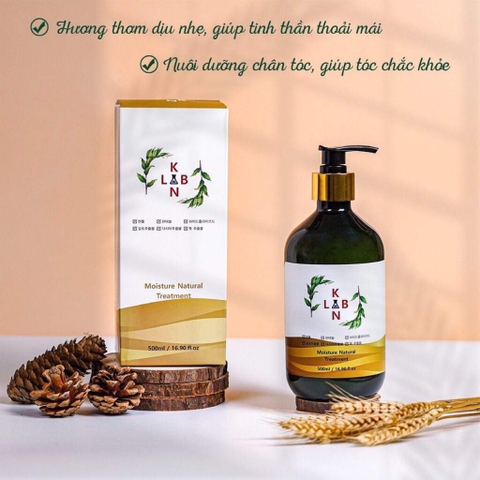 B01-Cặp dầu gội trị liệu, trị gàu và chống rụng tóc KangnamLab - Kn.Lab 500ml + 500ml (25ea)
