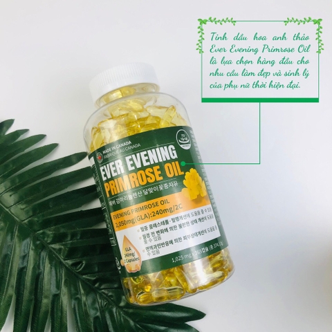 B01-Tinh dầu hoa anh thảo Ever Evening 365 viên (24ea)