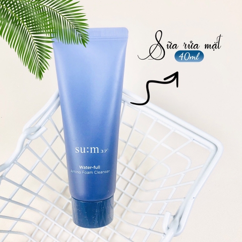 Set sum xanh cấp nước 4sp 150kw (8ea)