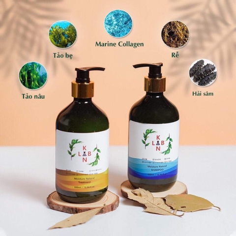 B01-Cặp dầu gội trị liệu, trị gàu và chống rụng tóc KangnamLab - Kn.Lab 500ml + 500ml (25ea)