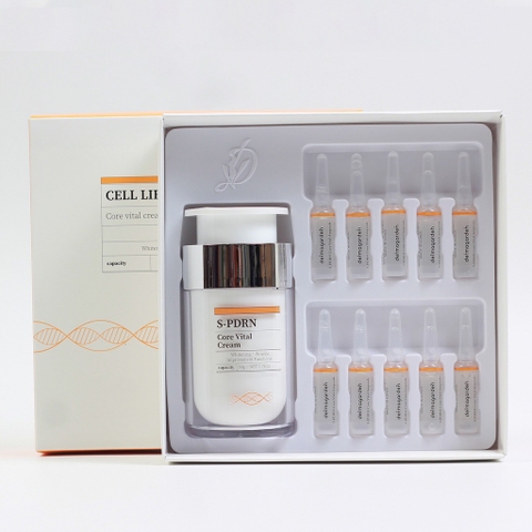 Set kem vs tế bào gốc cá hồi phục hồi da (32ea)