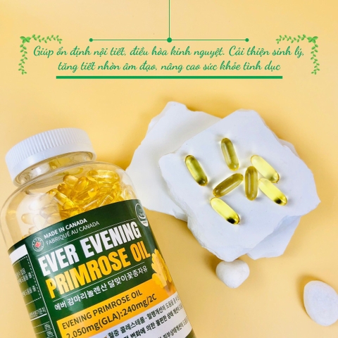 B01-Tinh dầu hoa anh thảo Ever Evening 365 viên (24ea)