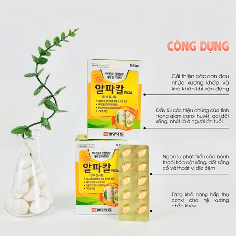 Viên uống hỗ trợ điều trị thoái hóa cột sống, gai đốt sống IlYang Hàn Quốc – Hộp 180 viên