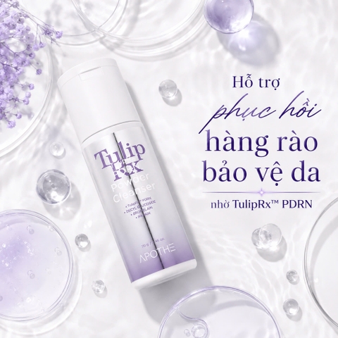Sữa Rửa Mặt Bột Enzyme PDRN Hàn Quốc Làm Sạch Sâu, Tẩy Tế Bào Chết Dịu Nhẹ APOTHE TulipRx™ PDRN Powder Cleanser 70g 