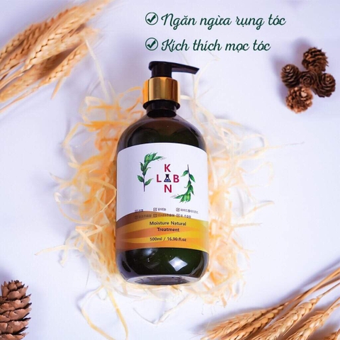 B01-Cặp dầu gội trị liệu, trị gàu và chống rụng tóc KangnamLab - Kn.Lab 500ml + 500ml (25ea)