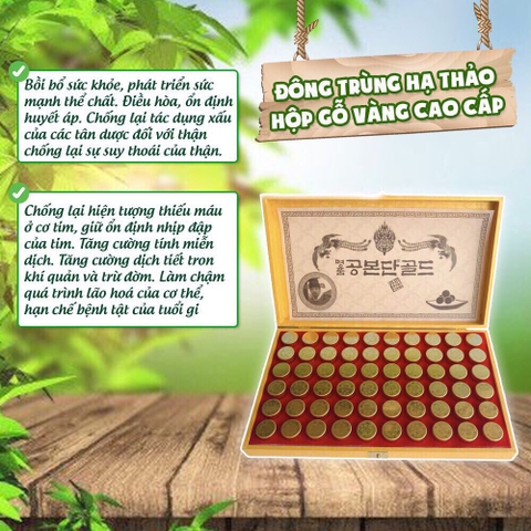 B02 - Viên hoàn đông trùng hạ thảo điều hoà huyết áp hộp vàng 60 viên (10ea)