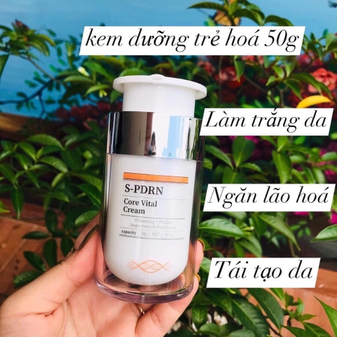 Set kem vs tế bào gốc cá hồi phục hồi da (32ea)
