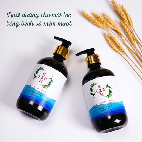 B01-Cặp dầu gội trị liệu, trị gàu và chống rụng tóc KangnamLab - Kn.Lab 500ml + 500ml (25ea)