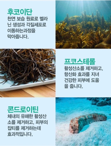 B01-Cặp dầu gội trị liệu, trị gàu và chống rụng tóc KangnamLab - Kn.Lab 500ml + 500ml (25ea)