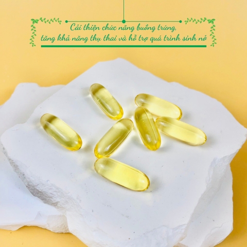 B01-Tinh dầu hoa anh thảo Ever Evening 365 viên (24ea)