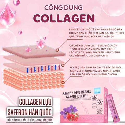 Bột collagen hoa nhuỵ tây 30 gói 2g(90ea)