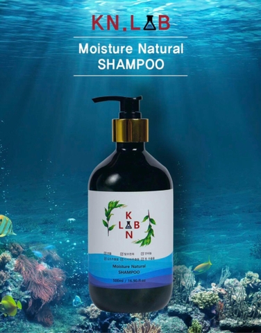 B01-Cặp dầu gội trị liệu, trị gàu và chống rụng tóc KangnamLab - Kn.Lab 500ml + 500ml (25ea)