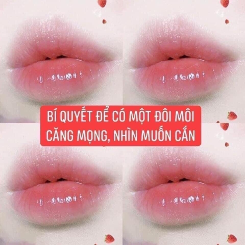 Ủ môi LANEIGE mẫu mới 20g (96ea)