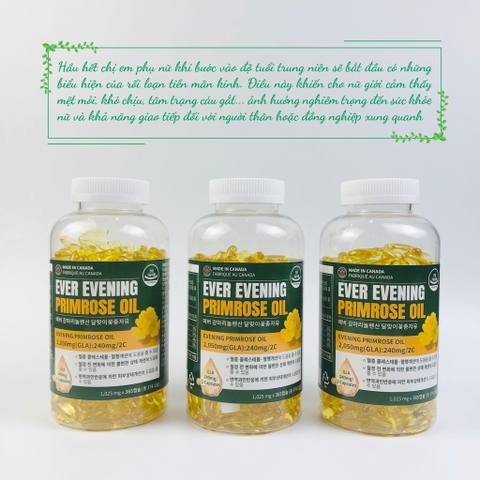 B01-Tinh dầu hoa anh thảo Ever Evening 365 viên (24ea)