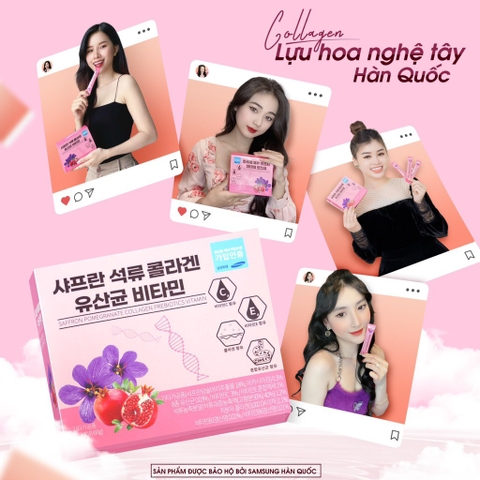 Bột collagen hoa nhuỵ tây 30 gói 2g(90ea)