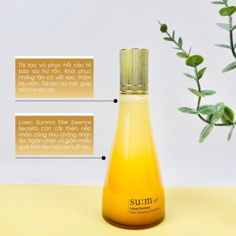 Tinh chất sum vàng tái sinh tăng dung lượng 210kw (10ea)