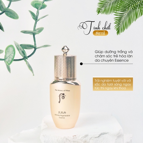 Set whoo hoa run tái sinh 3sp 370kw tăng 2% (8ea)