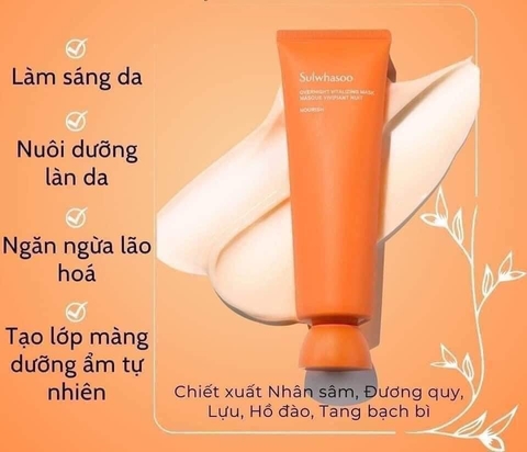 Mặt nạ ngủ sulwhasoo mini 35ml (273ea)