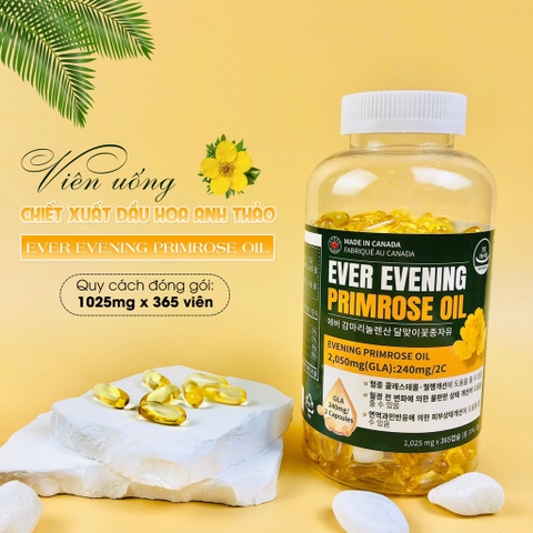 B01-Tinh dầu hoa anh thảo Ever Evening 365 viên (24ea)