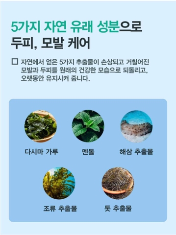 B01-Cặp dầu gội trị liệu, trị gàu và chống rụng tóc KangnamLab - Kn.Lab 500ml + 500ml (25ea)