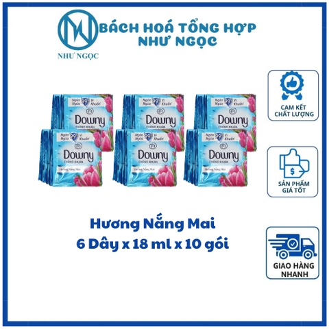 LỐC 6 DÂY - Nước Xả Vải Downy Hương Nước Hoa - Bách Hóa Tổng Hợp Như Ngọc