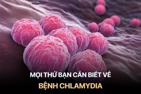 Bệnh Chlamydia Có Nguy Hiểm Không? Cách Điều Trị Và Phòng Ngừa Hiệu Quả