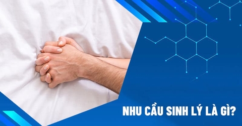 Nhu Cầu Sinh Lý Là Gì? Thay Đổi Theo Tuổi Tác Và Cách Cân Bằng Hiệu Quả