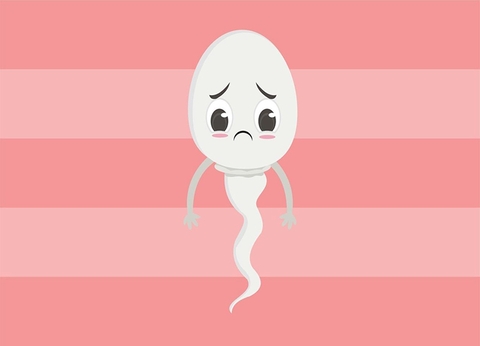 Nguyên Nhân Tình Trạng Tinh Trùng Yếu Thường Gặp Là Gì? Dấu Hiệu Và Cách Khắc Phục