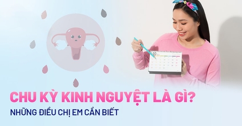 Tới Tháng Là Gì? Hiểu Rõ Chu Kỳ Kinh Nguyệt Và Cách Chăm Sóc Cơ Thể Đúng Cách