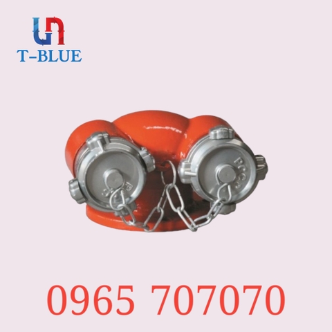 Họng tiếp nước cứu hỏa 2 cửa TQ D100